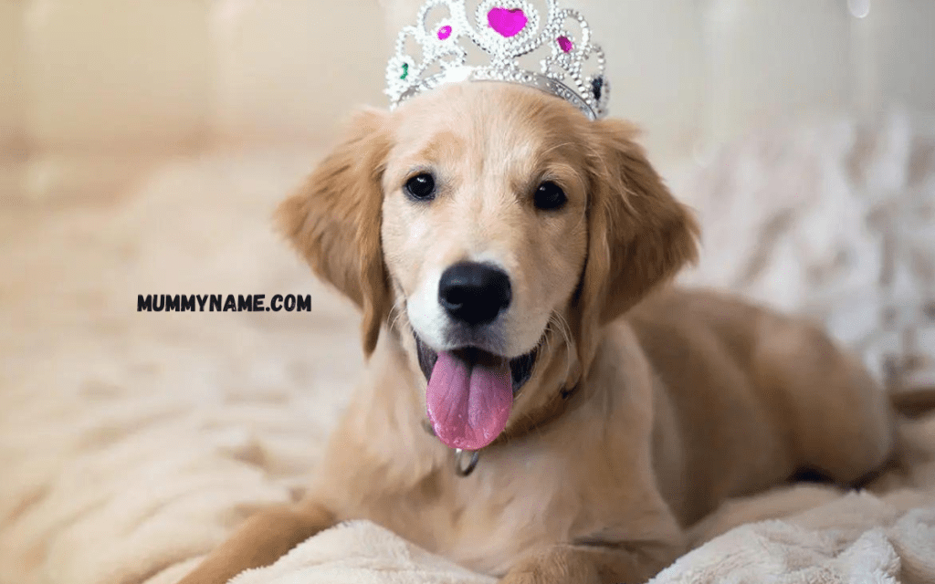 160+ Magical Disney Dog Names Perfect for Your Pup Disney Dog Names