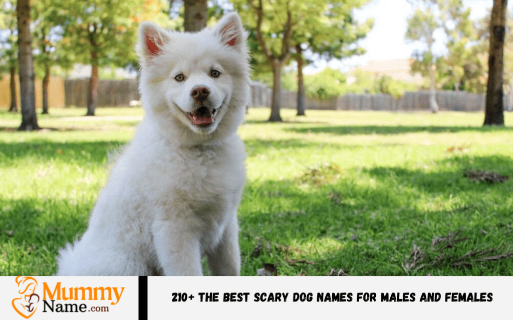 Scary Dog Names